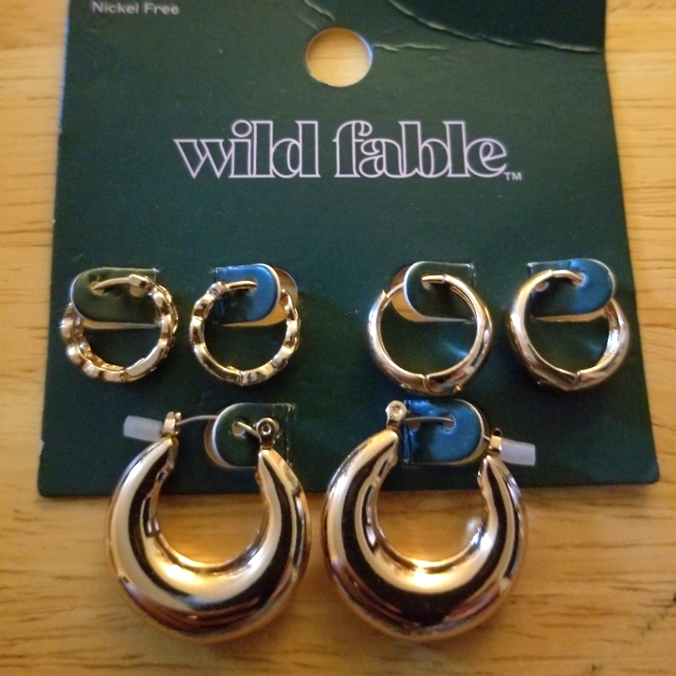 Nwt Wild Fable Goldtone Hoop Earrings Trio Set